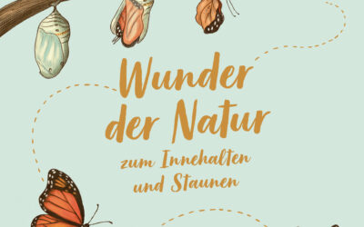 Wunder der Natur zum Innehalten und Staunen