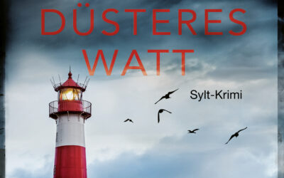 Düsteres Watt